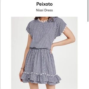 Peixoto Navy and White Checkered Dress